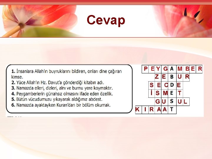 Cevap 