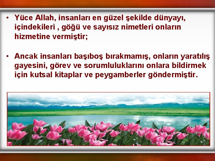  • Yüce Allah, insanları en güzel şekilde dünyayı, içindekileri , göğü ve sayısız