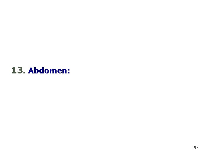 13. Abdomen: 67 