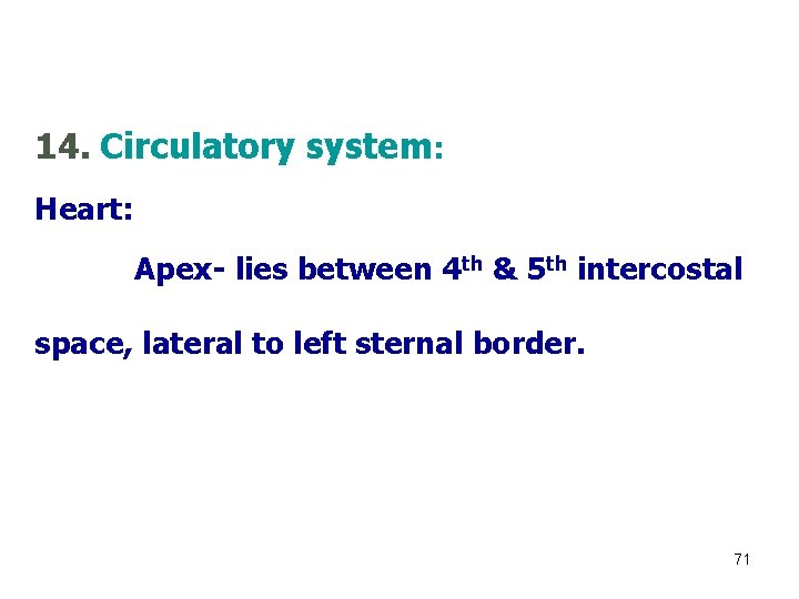 14. Circulatory system: Heart: Apex- lies between 4 th & 5 th intercostal space,