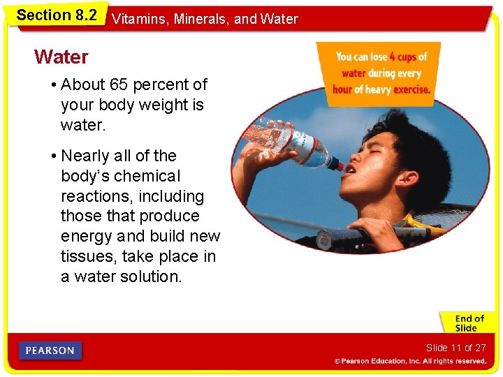 Section 8. 2 Vitamins, Minerals, and Water • About 65 percent of your body
