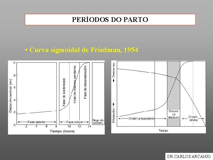 PERÍODOS DO PARTO • Curva sigmoidal de Friedman, 1954 DR. CARLOS ARCANJO 