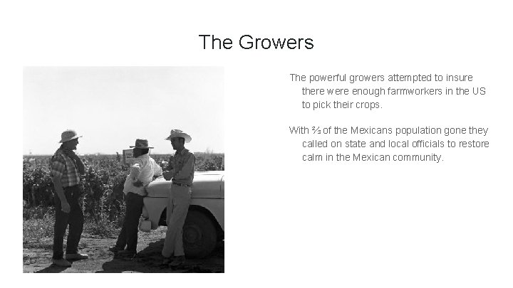 The Growers The powerful growers attempted to insure there were enough farmworkers in the