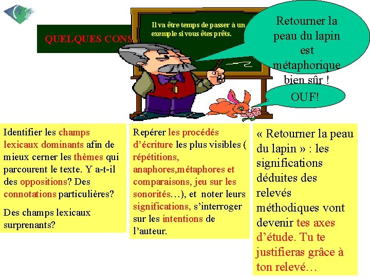 Retourner la peau du lapin QUELQUES CONSEILS (suite) est métaphorique • Tu dois ensuite