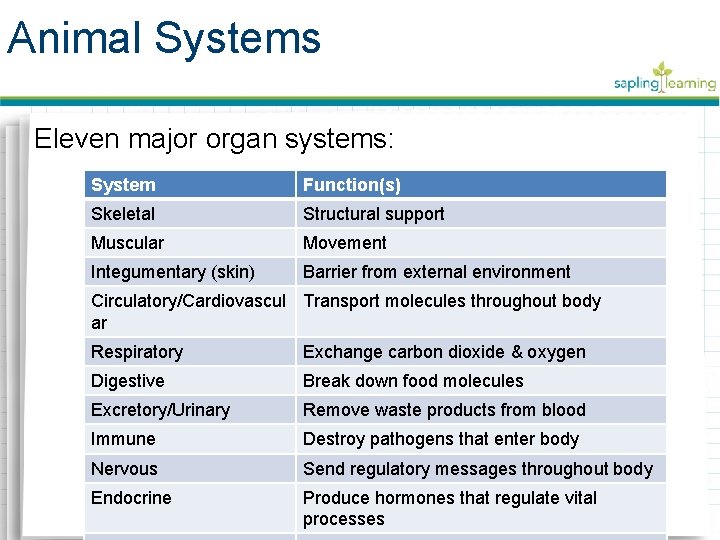 Animal Systems Eleven major organ systems: System Function(s) Skeletal Structural support Muscular Movement Integumentary