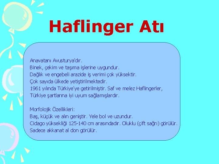 Haflinger Atı Anavatanı Avusturya’dır. Binek, çekim ve taşıma işlerine uygundur. Dağlık ve engebeli arazide