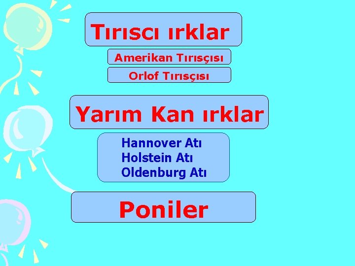 Tırıscı ırklar Amerikan Tırısçısı Orlof Tırısçısı Yarım Kan ırklar Hannover Atı Holstein Atı Oldenburg