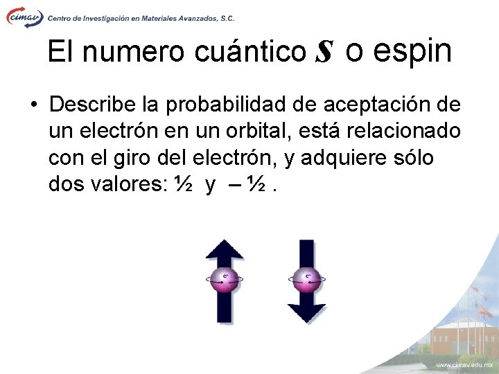 El numero cuántico s o espin • Describe la probabilidad de aceptación de un