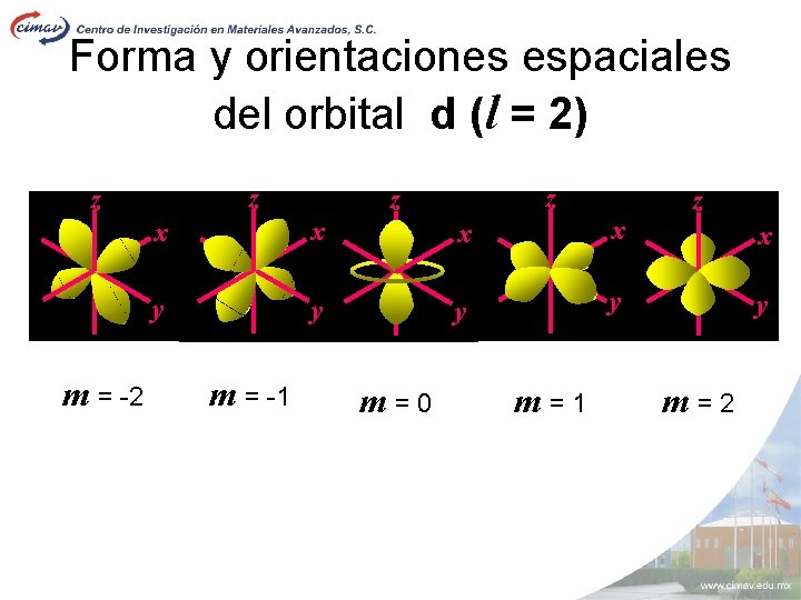 Forma y orientaciones espaciales del orbital d (l = 2) z z m =