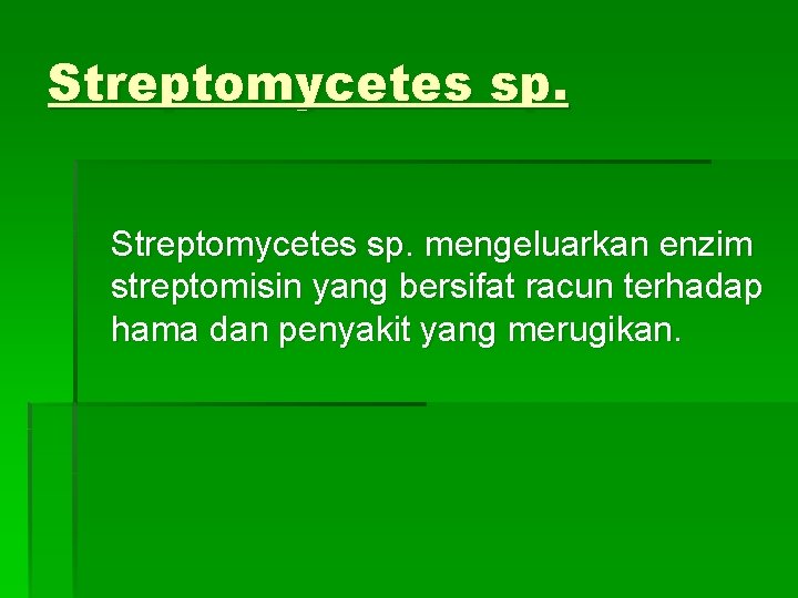 Streptomycetes sp. mengeluarkan enzim streptomisin yang bersifat racun terhadap hama dan penyakit yang merugikan.