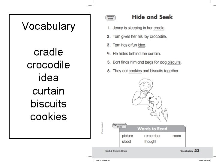 Vocabulary cradle crocodile idea curtain biscuits cookies 