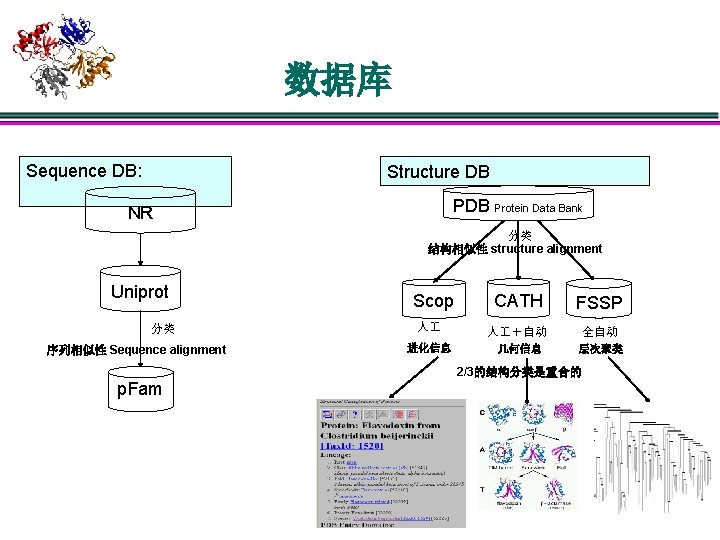 数据库 Sequence DB: Structure DB Protein Data Bank NR 分类 结构相似性 structure alignment Uniprot