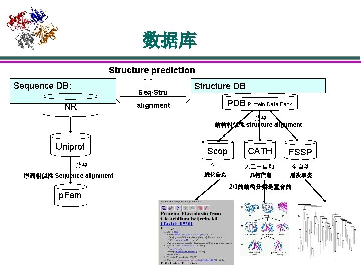 数据库 Structure prediction Sequence DB: Seq-Stru NR Structure DB Protein Data Bank alignment 分类