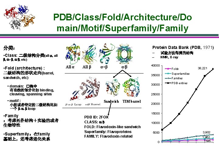 PDB/Class/Fold/Architecture/Do main/Motif/Superfamily/Family Protein Data Bank (PDB, 1971) 分类： • Class: 二级结构分类(all , + ,