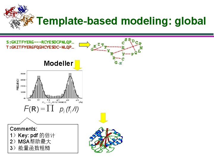 Template-based modeling: global S: GKITFYERG---RCYESDCPNLQP… T: GKITFYERGFQGHCYESDC-NLQP… Modeller F(R) = P pi (fi /I)