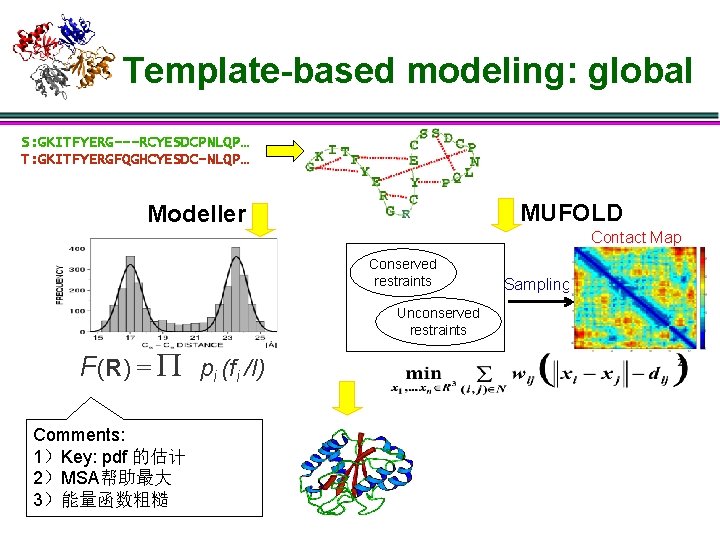 Template-based modeling: global S: GKITFYERG---RCYESDCPNLQP… T: GKITFYERGFQGHCYESDC-NLQP… MUFOLD Modeller Contact Map Conserved restraints Unconserved