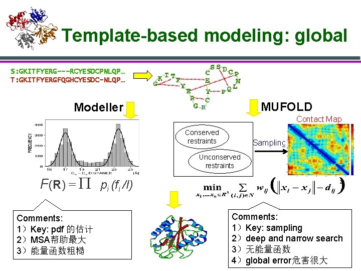 Template-based modeling: global S: GKITFYERG---RCYESDCPNLQP… T: GKITFYERGFQGHCYESDC-NLQP… MUFOLD Modeller Contact Map Conserved restraints Sampling