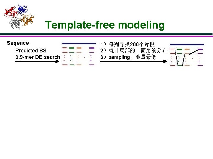 Template-free modeling Seqence Predicted SS 3, 9 -mer DB search 1）每列寻找 200个片段 2）统计局部的二面角的分布 3）sampling，能量最低