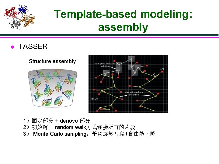 Template-based modeling: assembly l TASSER Structure assembly 1）固定部分 + denovo 部分 2）初始解： random walk方式连接所有的片段