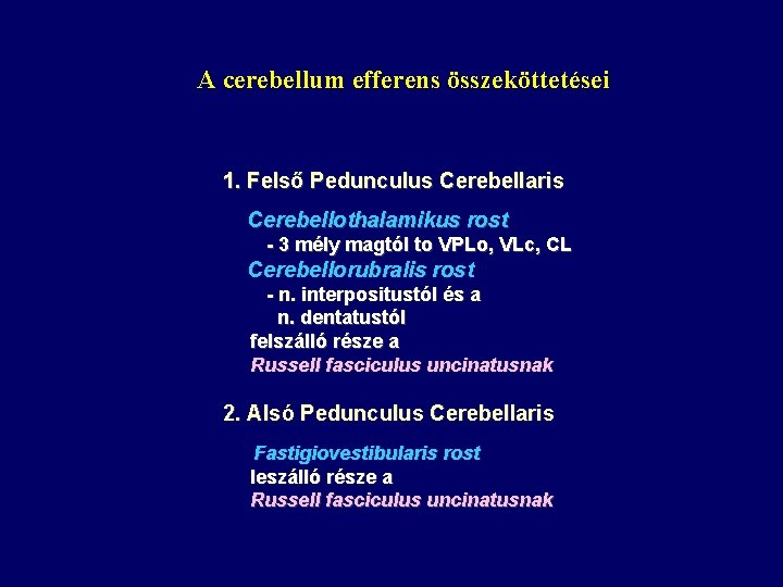 A cerebellum efferens összeköttetései 1. Felső Pedunculus Cerebellaris Cerebellothalamikus rost - 3 mély magtól