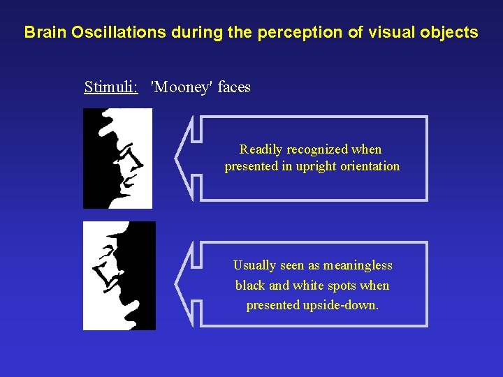 Brain Oscillations during the perception of visual objects Stimuli: 'Mooney' faces Readily recognized when