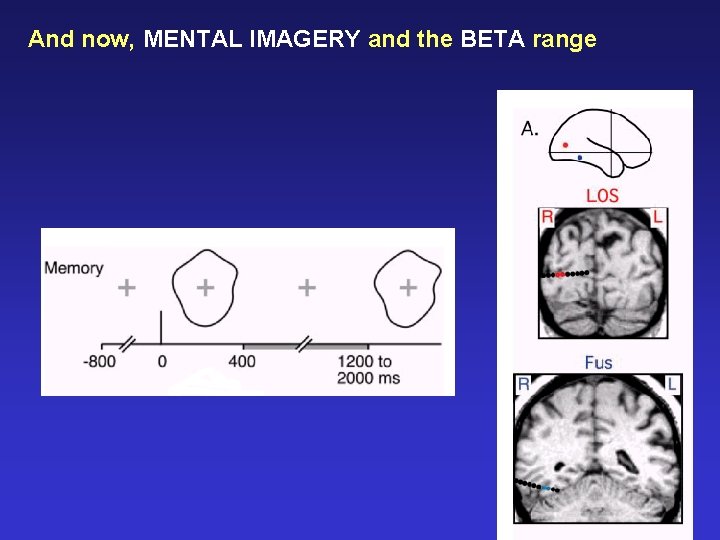 And now, MENTAL IMAGERY and the BETA range 