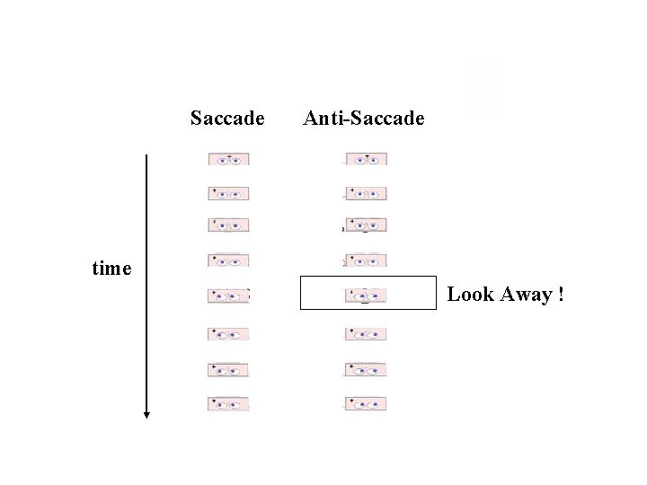 Saccade Anti-Saccade time Look Away ! 