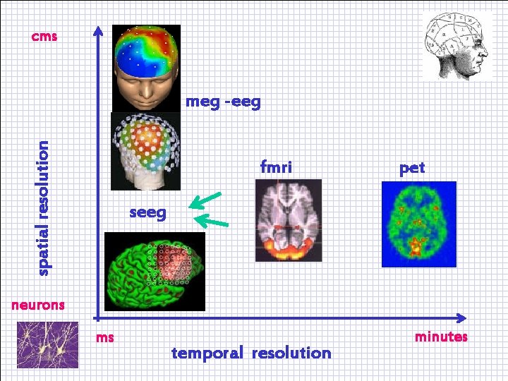 cms spatial resolution meg -eeg fmri pet seeg neurons ms temporal resolution minutes 