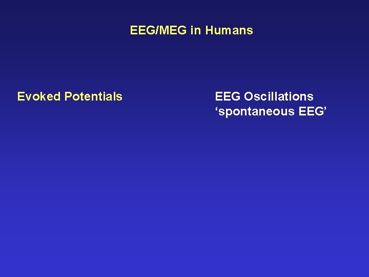 EEG/MEG in Humans Evoked Potentials EEG Oscillations ‘spontaneous EEG’ 