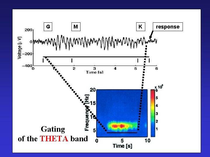 G M Gating of the THETA band K response 