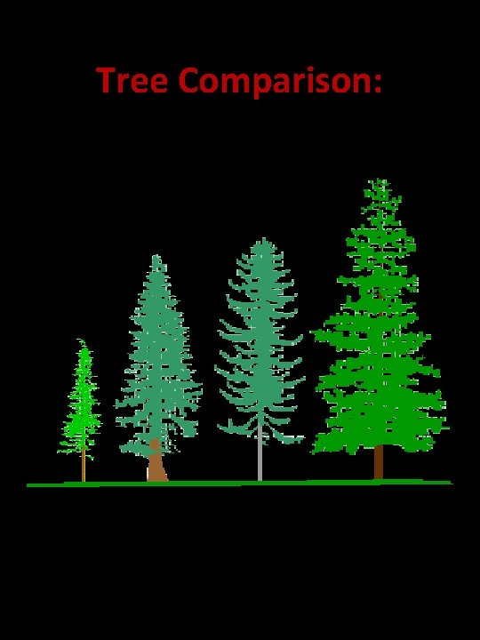 Tree Comparison: 