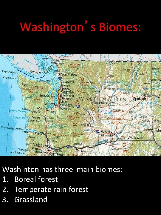 Washington’s Biomes: Washinton has three main biomes: 1. Boreal forest 2. Temperate rain forest