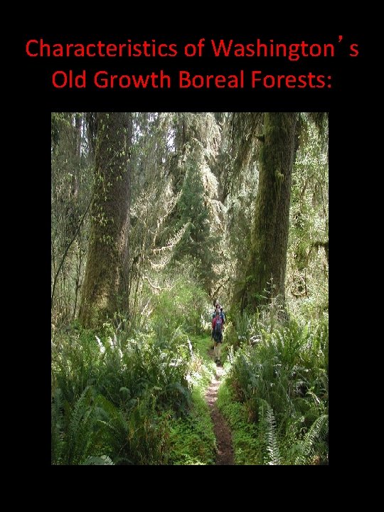 Characteristics of Washington’s Old Growth Boreal Forests: 
