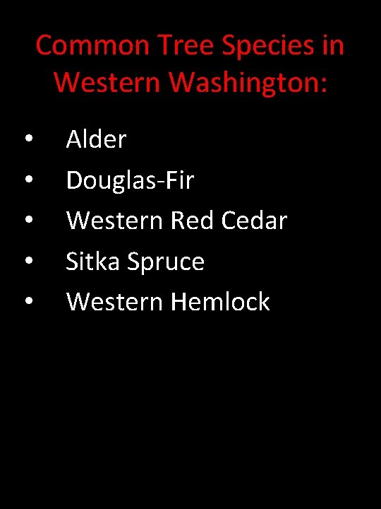 Common Tree Species in Western Washington: • • • Alder Douglas-Fir Western Red Cedar