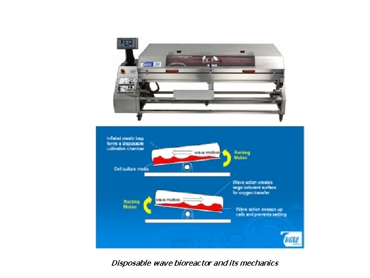 Disposable wave bioreactor and its mechanics 