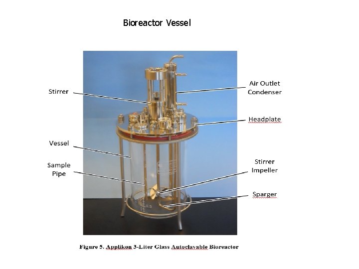 Bioreactor Vessel 