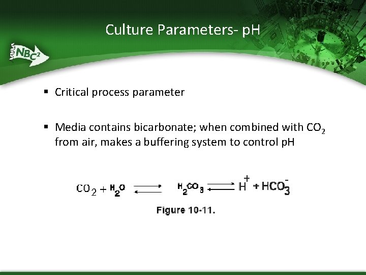 Culture Parameters- p. H § Critical process parameter § Media contains bicarbonate; when combined