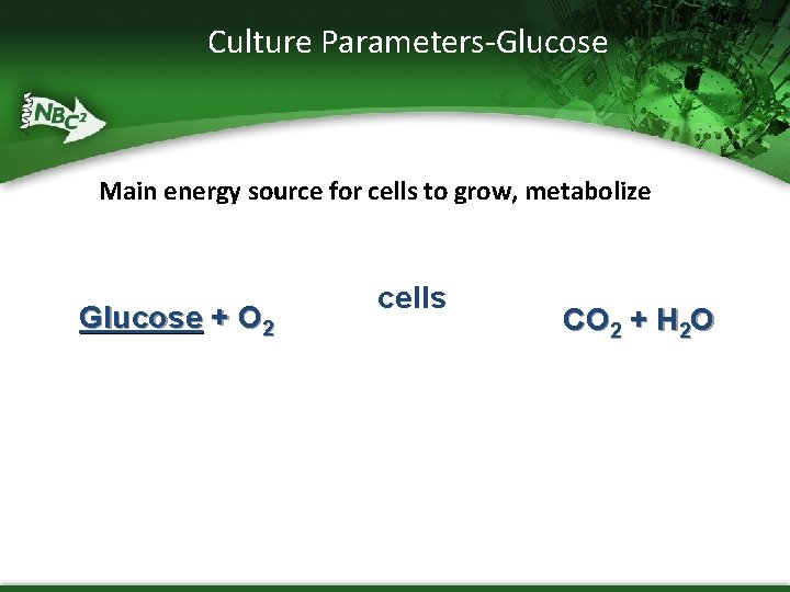 Culture Parameters-Glucose Main energy source for cells to grow, metabolize Glucose + O 2