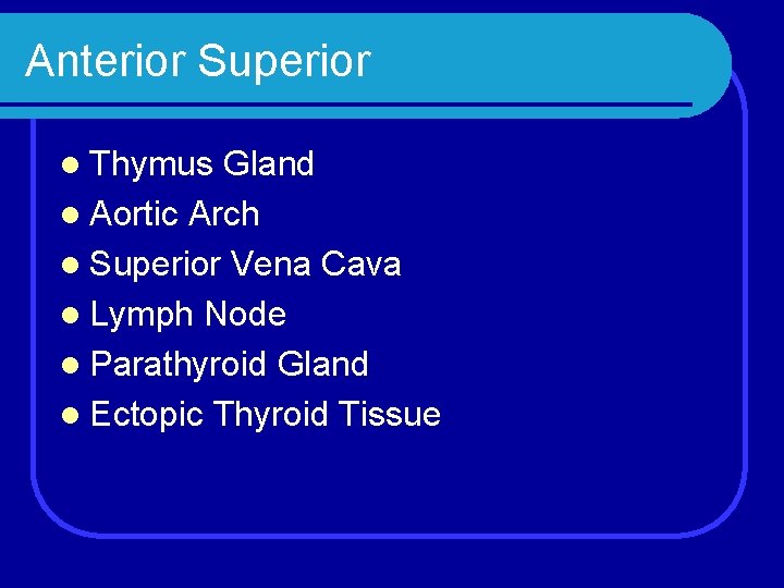 Anterior Superior l Thymus Gland l Aortic Arch l Superior Vena Cava l Lymph