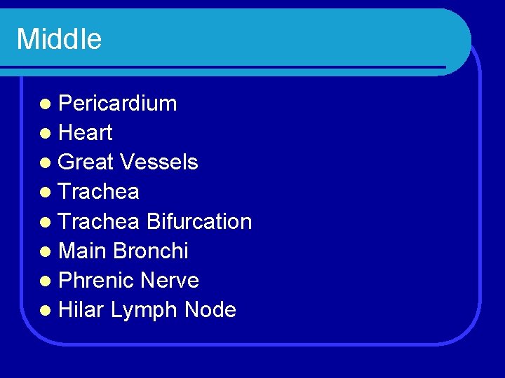 Middle l Pericardium l Heart l Great Vessels l Trachea Bifurcation l Main Bronchi