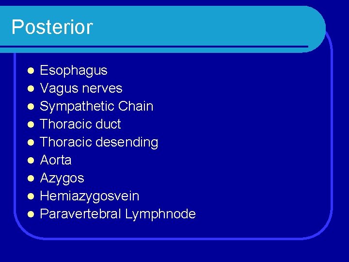 Posterior l l l l l Esophagus Vagus nerves Sympathetic Chain Thoracic duct Thoracic