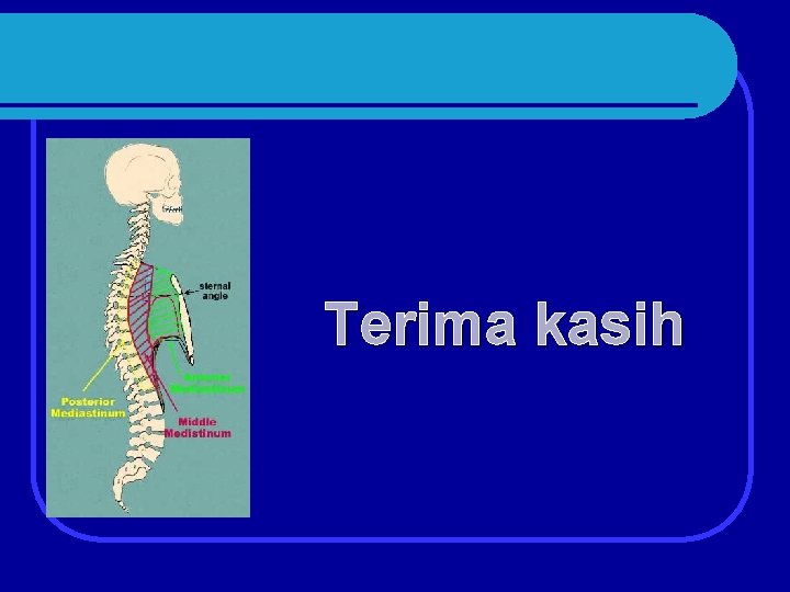 Terima kasih 