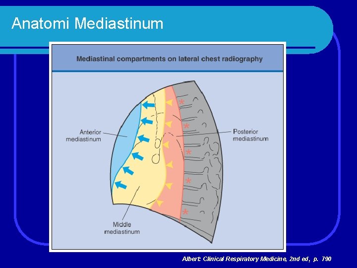 Anatomi Mediastinum Albert: Clinical Respiratory Medicine, 2 nd ed , p. 790 