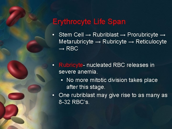 Erythrocyte Life Span • Stem Cell → Rubriblast → Prorubricyte → Metarubricyte → Reticulocyte