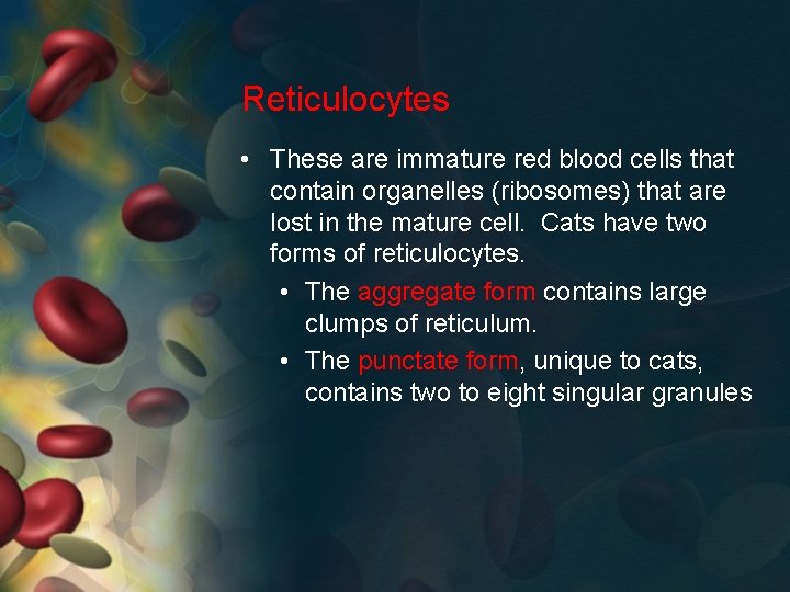 Reticulocytes • These are immature red blood cells that contain organelles (ribosomes) that are