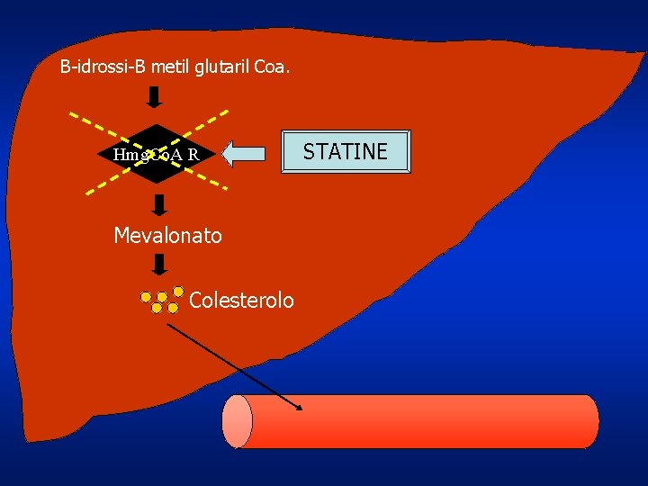 B-idrossi-B metil glutaril Coa. Hmg. Co. A R Mevalonato Colesterolo STATINE 