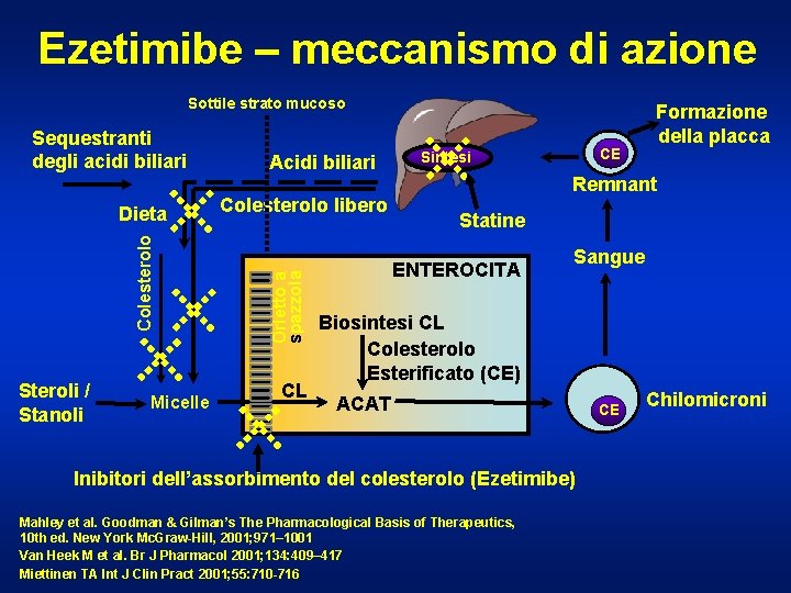 Ezetimibe – meccanismo di azione Sottile strato mucoso Colesterolo Dieta Steroli / Stanoli Micelle