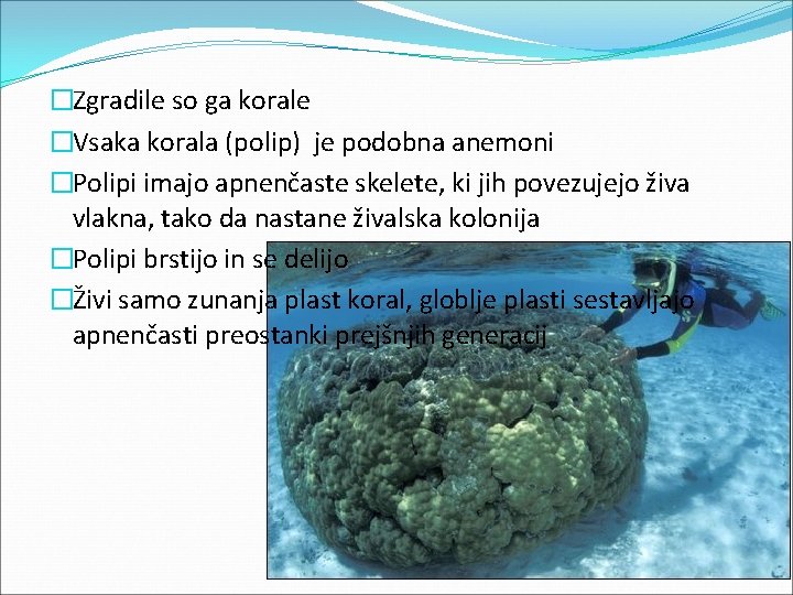 �Zgradile so ga korale �Vsaka korala (polip) je podobna anemoni �Polipi imajo apnenčaste skelete,