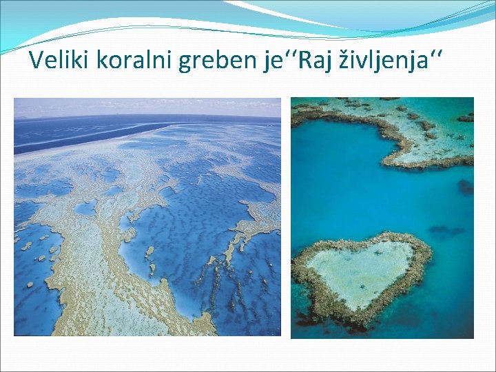 Veliki koralni greben je‘‘Raj življenja‘‘ 