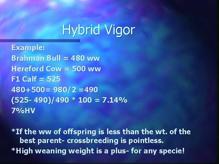 Hybrid Vigor Example: Brahman Bull = 480 ww Hereford Cow = 500 ww F